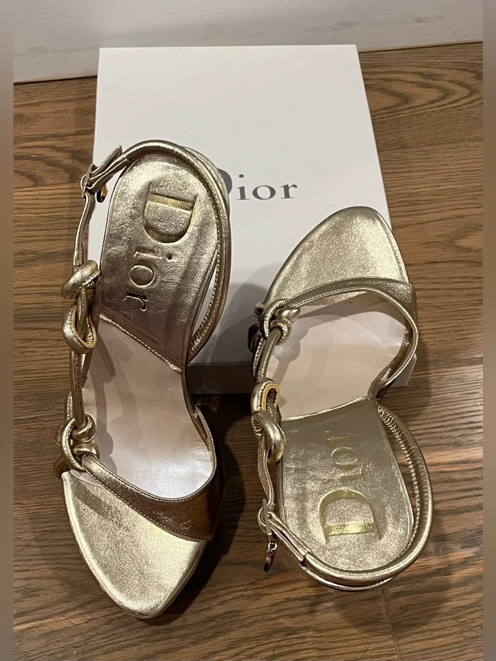 Dior elegant metallic